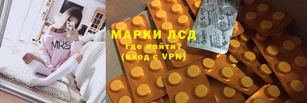 стафф Аркадак