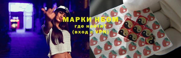 стафф Аркадак