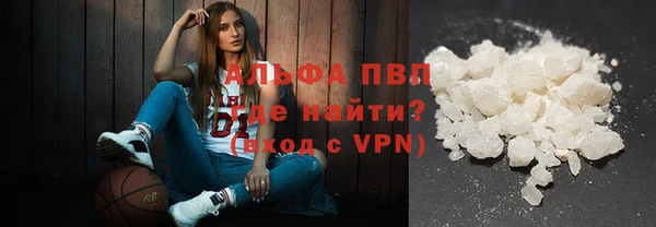 хмурый Алзамай