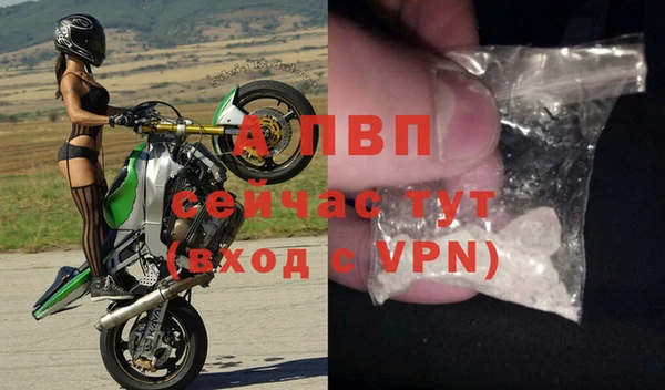 стафф Аркадак