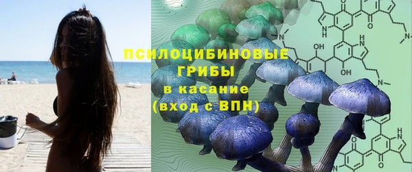 винт Арсеньев
