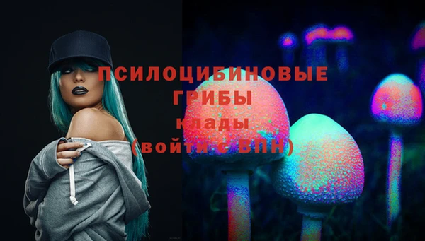 шишки Армянск