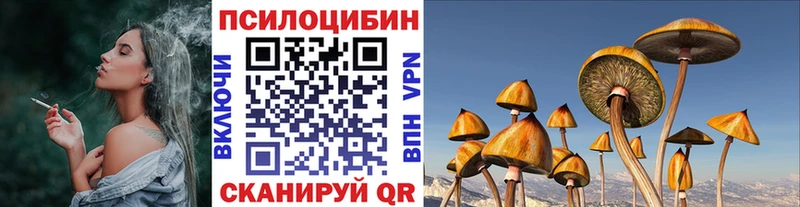 Галлюциногенные грибы мицелий  сколько стоит  Бабушкин 